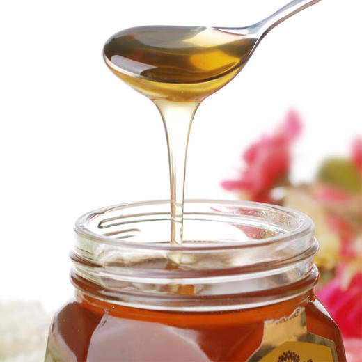 德国琅尼斯多花种蜂蜜1000g/500g/125g 色泽金黄口感香醇尤其适合喜甜的人群 031248/030602/030603 商品图1