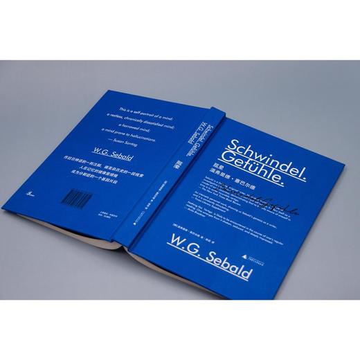 新民说·眩晕  （塞巴尔德小说处女作，目眩神迷的“存在之书”）（德）温弗里德·塞巴尔德 著 商品图6