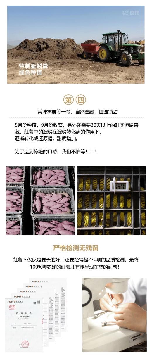 52良作红薯地瓜 商品图4