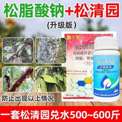 松脂酸钠松精油果园茶园清园剂专用松碱合剂矢尖蚧粉介壳虫杀虫剂 商品图4