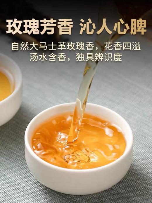 凤宁号 | 2025年沧江玫瑰48G/罐 商品图2