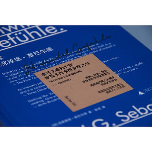 新民说·眩晕  （塞巴尔德小说处女作，目眩神迷的“存在之书”）（德）温弗里德·塞巴尔德 著 商品图3