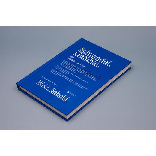 新民说·眩晕  （塞巴尔德小说处女作，目眩神迷的“存在之书”）（德）温弗里德·塞巴尔德 著 商品图1