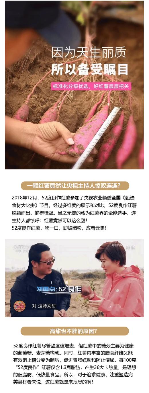 52良作红薯地瓜 商品图3