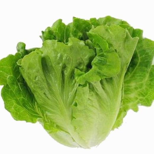 【生鲜预定】生菜 商品图1