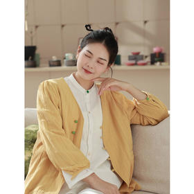 V领衬衫（23810554-黄河琉璃）