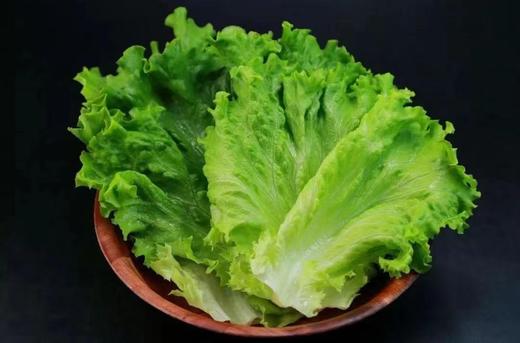 【生鲜预定】生菜 商品图2