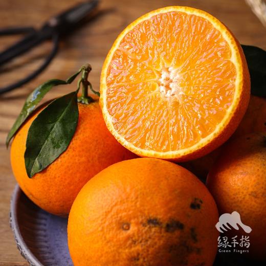 生态爱媛橙| 合作生产 *Ecological Aichi Orange| Partner Production 商品图4