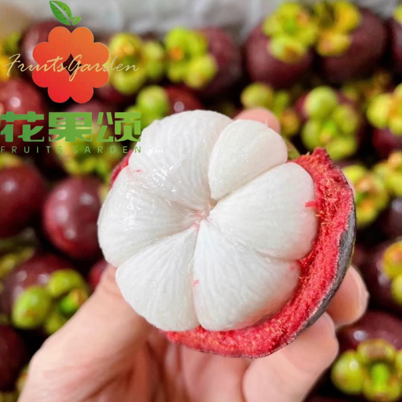 【下火神器】新鲜泰国空运6A山竹 约500g