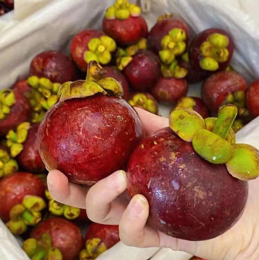 【下火神器】新鲜泰国空运6A山竹 约500g 商品图2