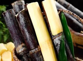 9.9元一根广东黑皮甘蔗（默认削皮切长段，如需切小段务必留言）