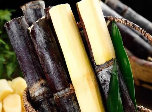 9.9元一根广东黑皮甘蔗（默认削皮切长段，如需切小段务必留言） 商品图0