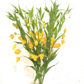 3月24日日本宫灯-10支易损花材联系客服拍照发货发出没有售后