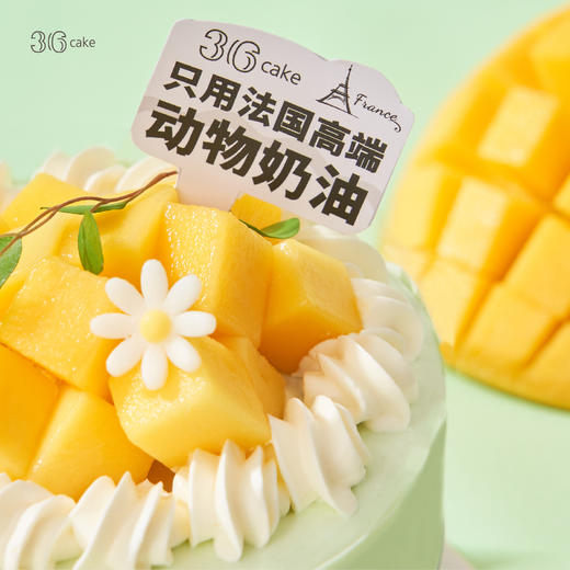 迷你鲜芒开心果，可选4英寸 商品图2