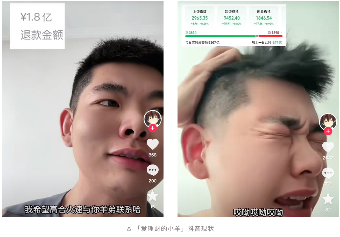 爱理财的小羊抖音现状