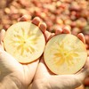 【直发】阿克苏冰糖心苹果大果（单果250-300g）5斤±200克 商品缩略图7