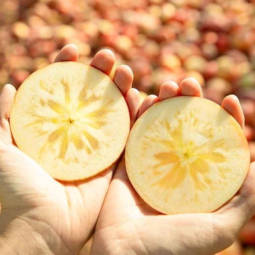 【直发】阿克苏冰糖心苹果大果（单果250-300g）5斤±200克 商品图7