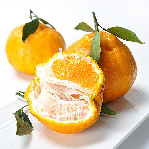 【直发】春见耙耙柑（果径85mm+）8斤 商品图8