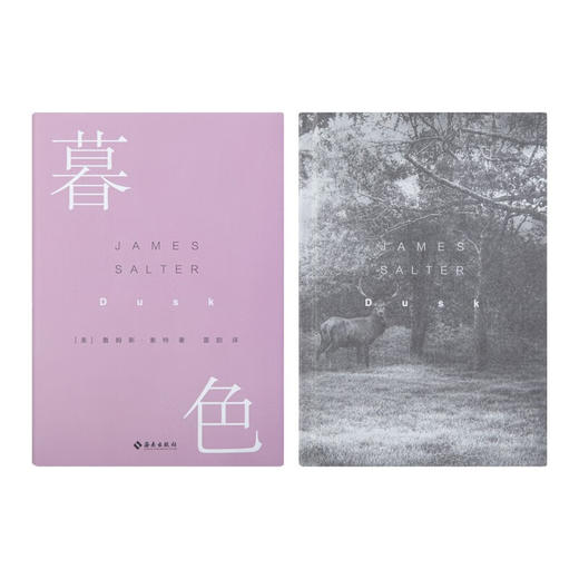暮色（美）詹姆斯·索特 著 商品图2