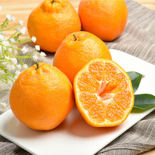 【直发】春见耙耙柑（果径85mm+）8斤 商品图4