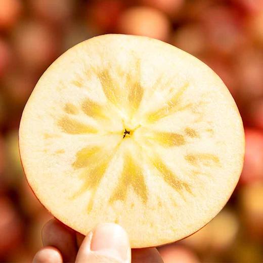 【直发】阿克苏冰糖心苹果大果（单果250-300g）5斤±200克 商品图3