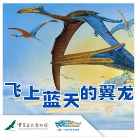 重庆自然博物馆 ——飞上蓝天的翼龙