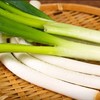 【生鲜预定】大弯葱 商品缩略图2