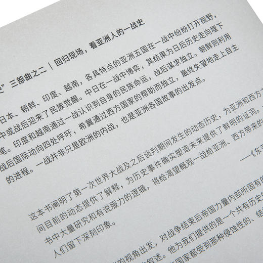 【微瑕】亚洲与一战 ：一部共有的历史 徐国琦 著 商品图3