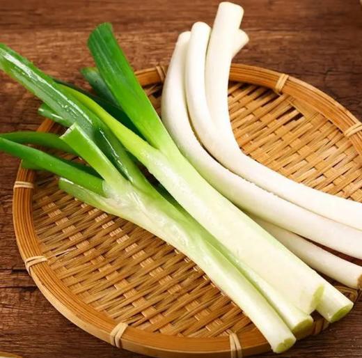 【生鲜预定】大弯葱 商品图1