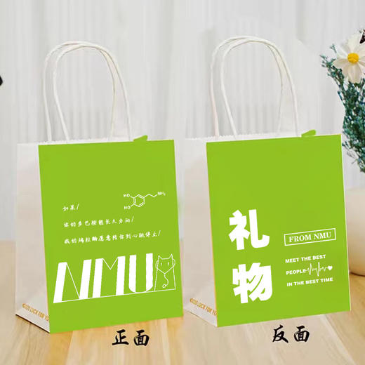 岁月南医小拎袋 商品图1