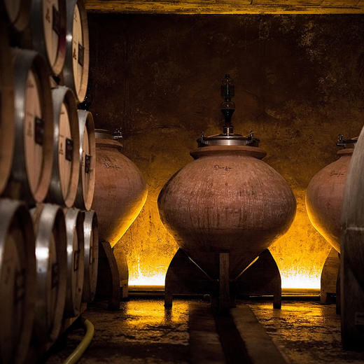 亨利-吉罗特级葡萄园白中白香槟 Henri Giraud Aÿ Blanc de Blancs Grand Cru 商品图2