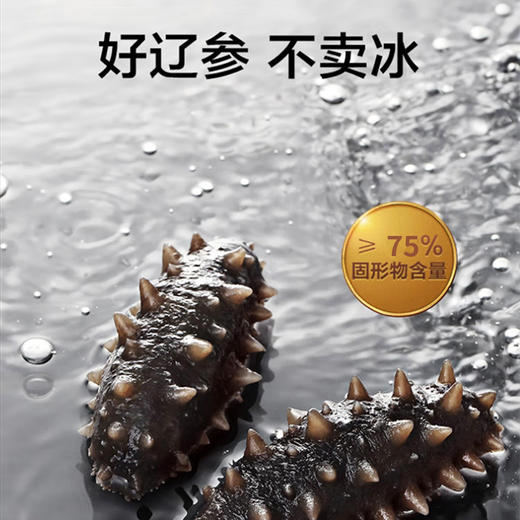 一价到底【辽刺参王】大连原产地  百里挑一辽参王  吃一根顶三根 商品图6