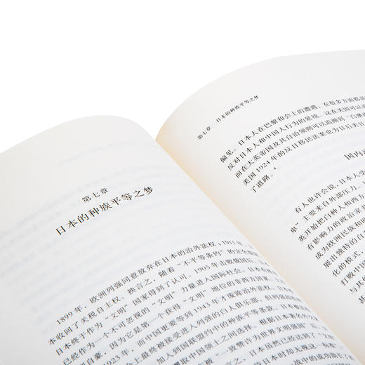 【微瑕】亚洲与一战 ：一部共有的历史 徐国琦 著 商品图2