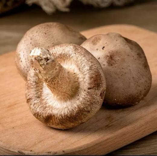 【生鲜预定】香菇 商品图1