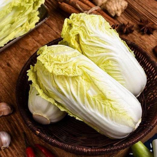 【生鲜预定】娃娃菜 商品图2