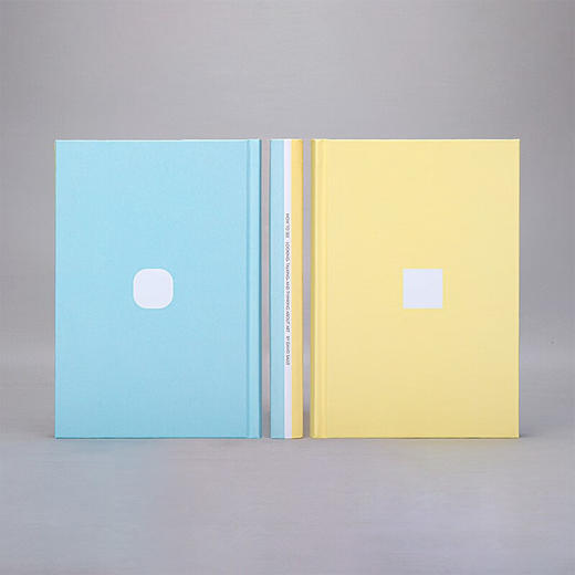 如何观看：关于艺术的看、说、思（美）大卫·萨利 著 商品图2