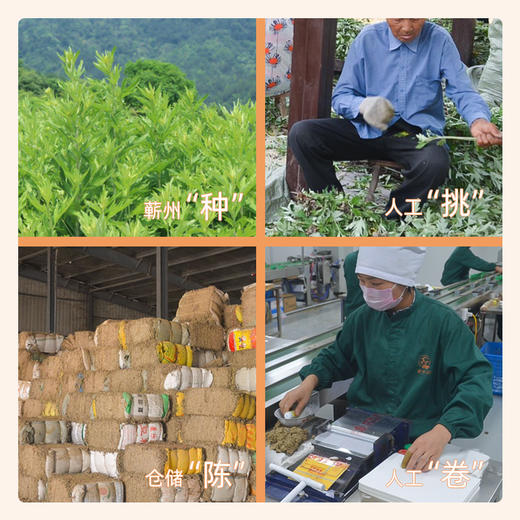 【金品蕲艾条】  直径1.8Cm*20Cm   10支/装 买10盒送5盒 商品图2