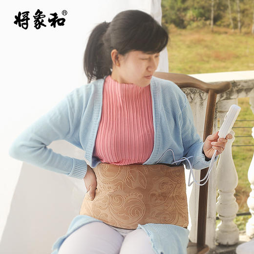 【电加热艾绒护腰护宫】 商品图5