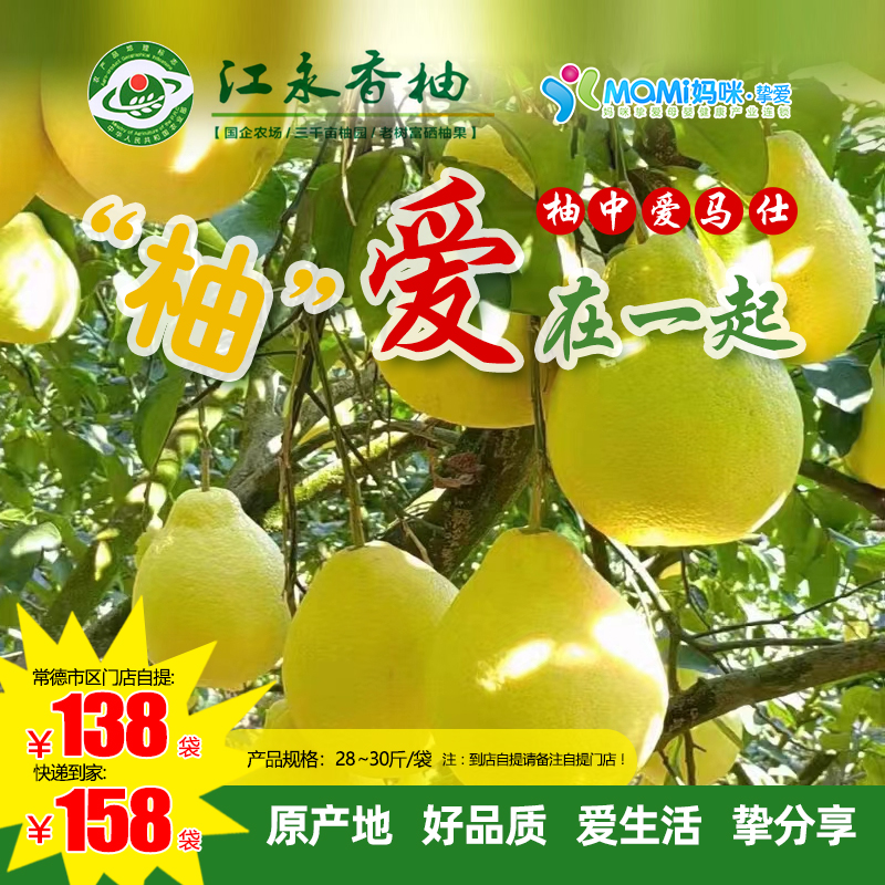 【“柚”爱在一起 】正宗江永云雾山和百年香柚柚子水果新鲜绿色食品富硒纯甜28~30斤