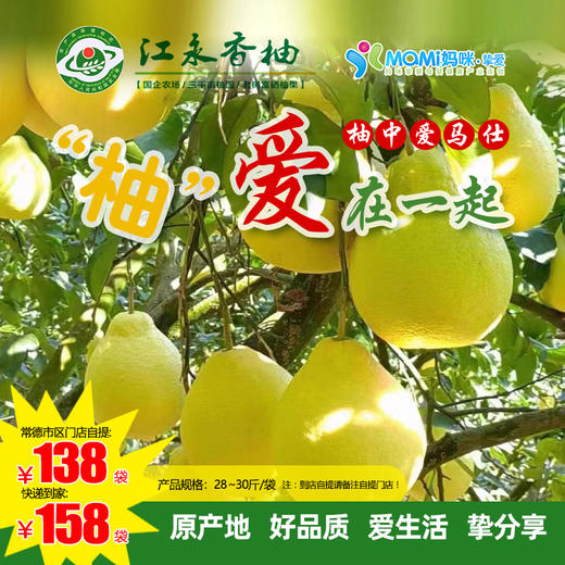 【“柚”爱在一起 】正宗江永云雾山和百年香柚柚子水果新鲜绿色食品富硒纯甜28~30斤 商品图0