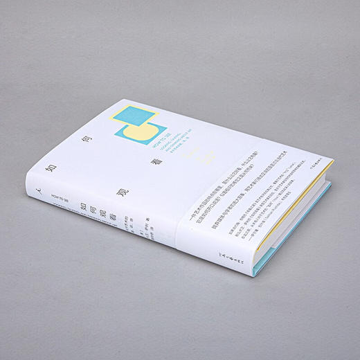 如何观看：关于艺术的看、说、思（美）大卫·萨利 著 商品图3