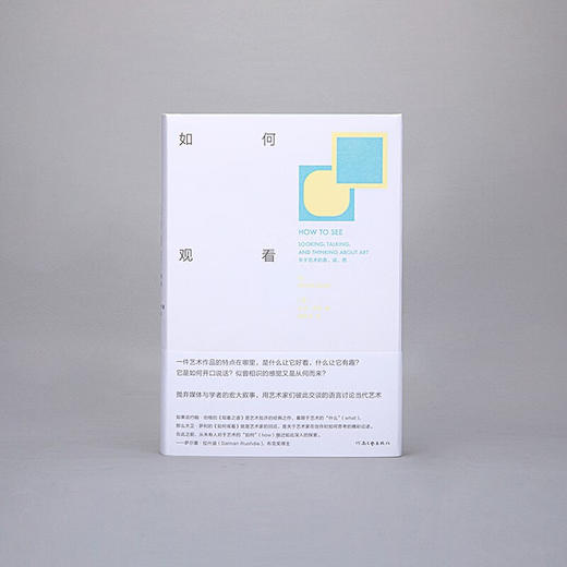 如何观看：关于艺术的看、说、思（美）大卫·萨利 著 商品图1