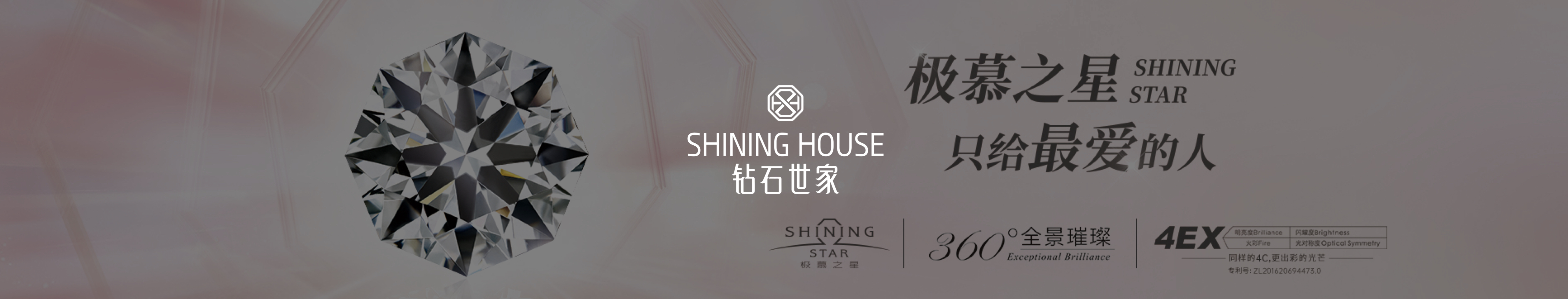 有赞11周年大会-2023引领者观察报告-钻石世家