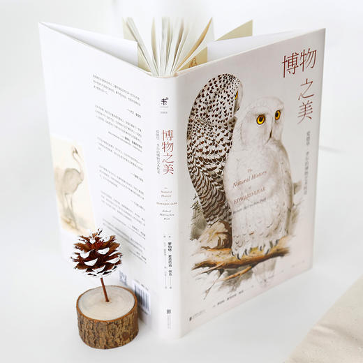 【特价】博物之美 爱德华·李尔的博物艺术传奇 商品图1