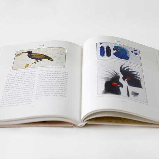 【特价】博物之美 爱德华·李尔的博物艺术传奇 商品图4