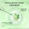 KJ 韩国 婷乐思净颜祛痘面膜 25ml*5片/盒（效期至26年2月，介意勿拍） 商品缩略图2