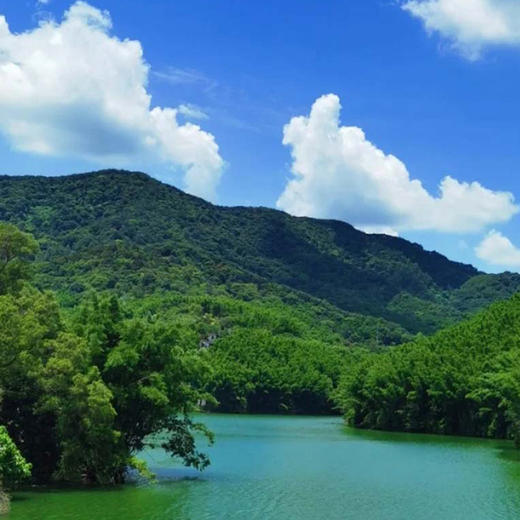 周六10.18周末一起爬凤凰山-龙洞水库，在爬山徒步中结识新朋友（广州活动） 商品图0