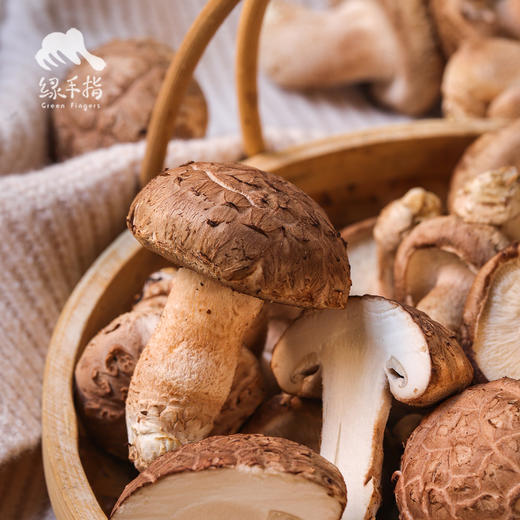 有机鲜香菇 | 绿家自产 * Organic tea shitake | Self-production 商品图6