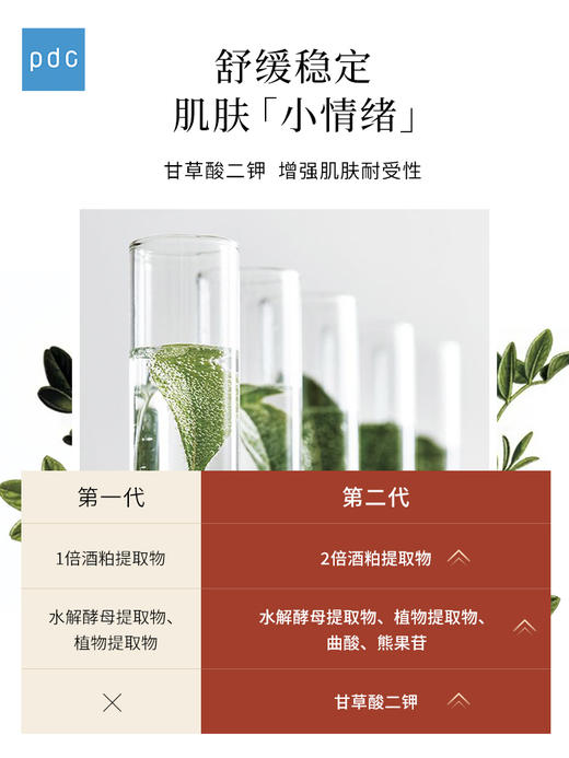 碧迪皙 酒粕洗面奶170g 商品图3