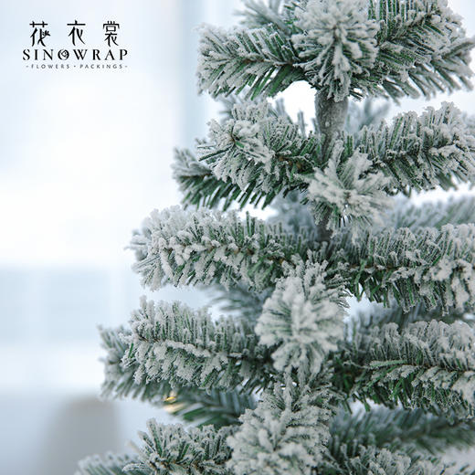 圣诞树套餐组合 商品图3